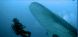 Dive Sites