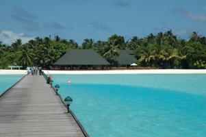 Jetty