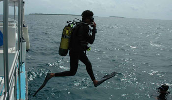 Dive